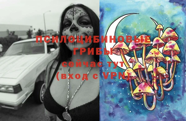 молекула духа Дмитров