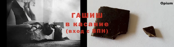 apvp Бикин