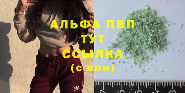 молекула духа Дмитров
