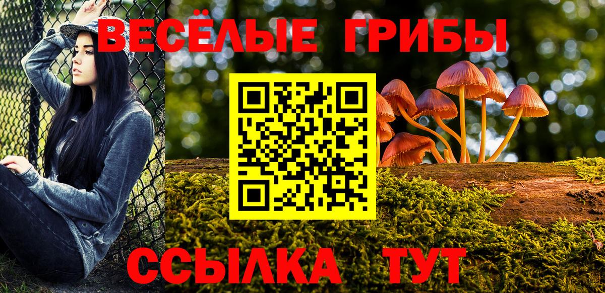 Галлюциногенные грибы MAGIC MUSHROOMS  Псилоцибиновые грибы GOLDEN TEACHER  Вход с VPN  Ишим 