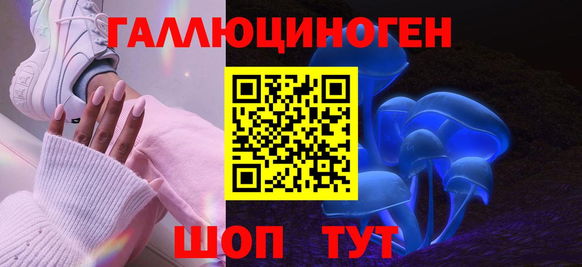 Галлюциногенные грибы Psilocybe Ишим